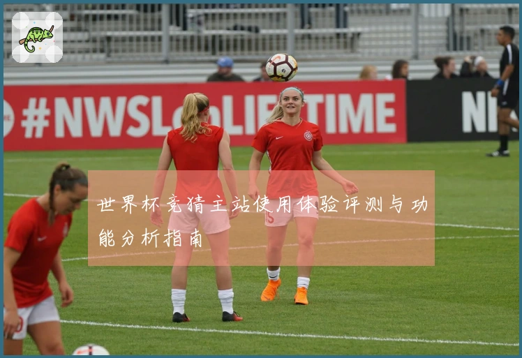 世界杯竞猜主站使用体验评测与功能分析指南