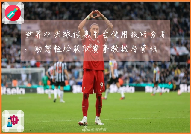 世界杯买球信息平台使用技巧分享，助您轻松获取赛事数据与资讯
