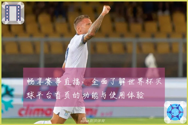 畅享赛事直播,全面了解世界杯买球平台首页的功能与使用体验