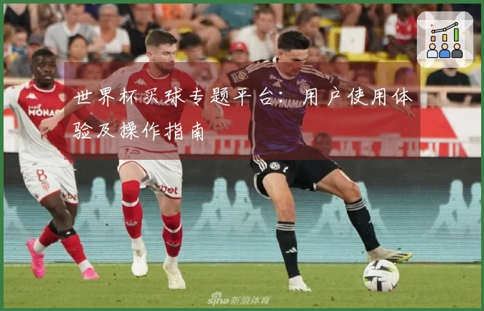 世界杯买球专题平台：用户使用体验及操作指南