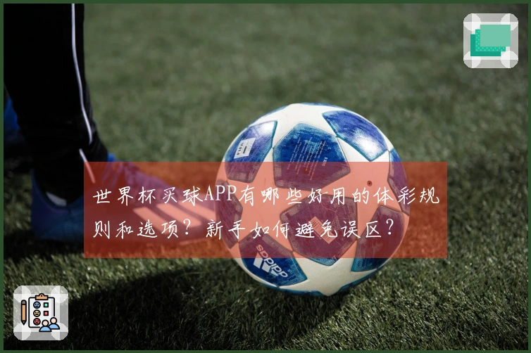 世界杯买球APP有哪些好用的体彩规则和选项？新手如何避免误区？