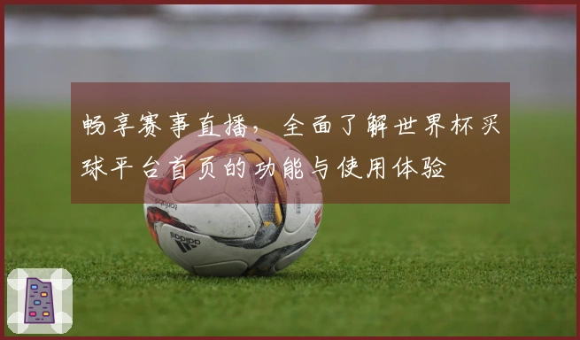 畅享赛事直播，全面了解世界杯买球平台首页的功能与使用体验