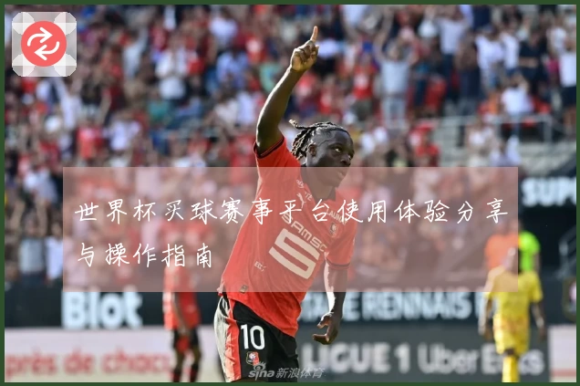 世界杯买球赛事平台使用体验分享与操作指南