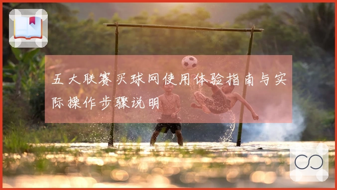五大联赛买球网使用体验指南与实际操作步骤说明