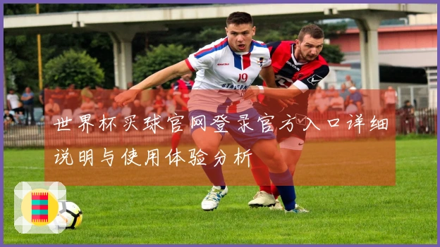 世界杯买球官网登录官方入口详细说明与使用体验分析