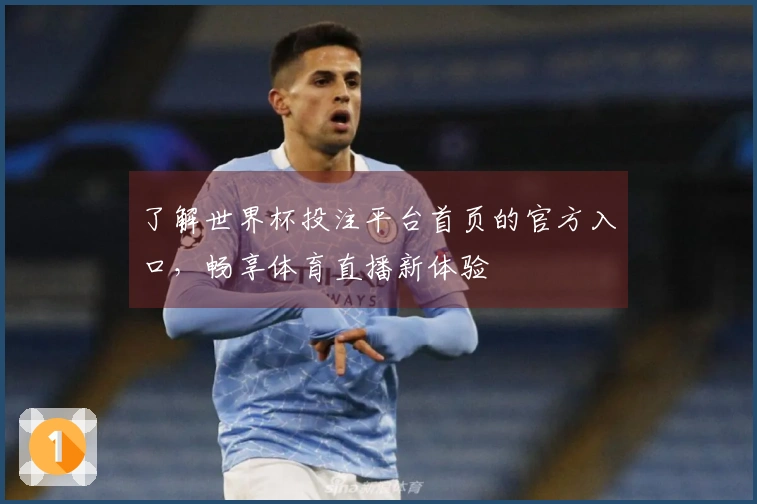 了解世界杯投注平台首页的官方入口，畅享体育直播新体验