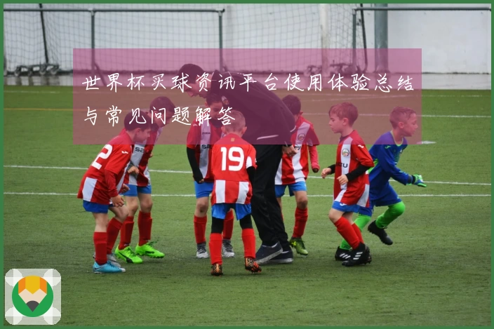 世界杯买球资讯平台使用体验总结与常见问题解答