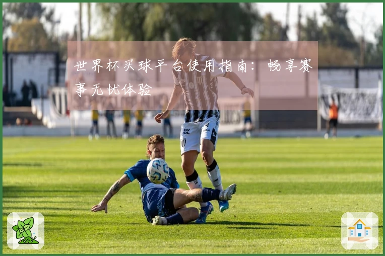 世界杯买球平台使用指南：畅享赛事无忧体验