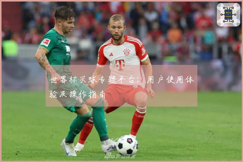 世界杯买球专题平台：用户使用体验及操作指南