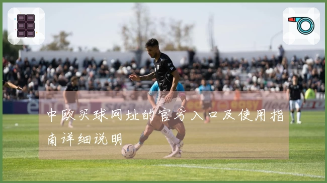 中欧买球网址的官方入口及使用指南详细说明