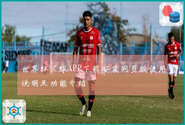 世界杯买球APP下载安装网页版使用说明及功能介绍