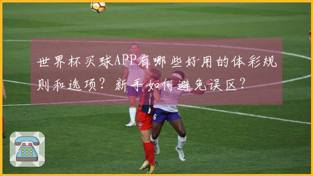 世界杯买球APP有哪些好用的体彩规则和选项?新手如何避免误区?